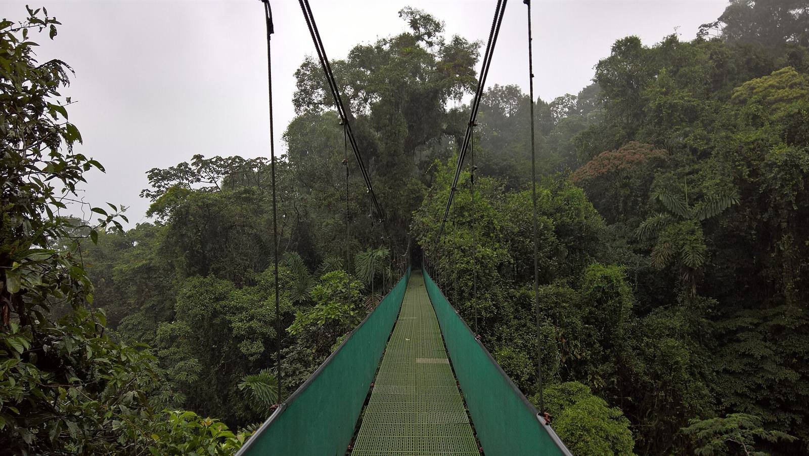 Hanging bridges · 11.7 km